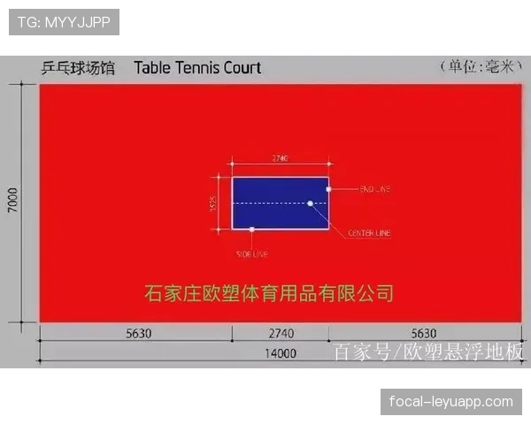 场地尺寸规则详细拆解：不同比赛标准有哪些关键区别？