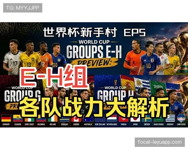 世界杯H组战术体系深度解读